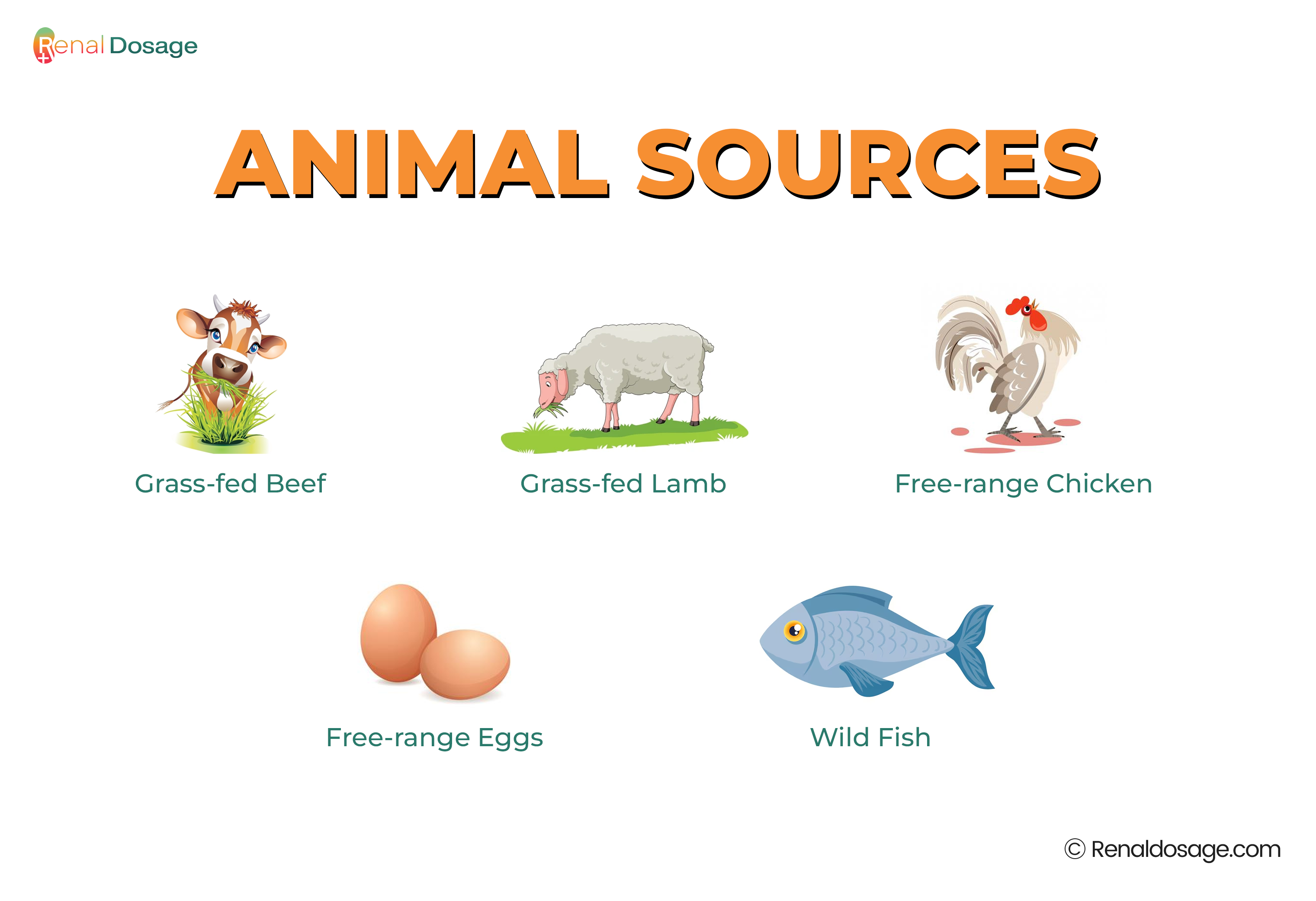 animal base diet Sources